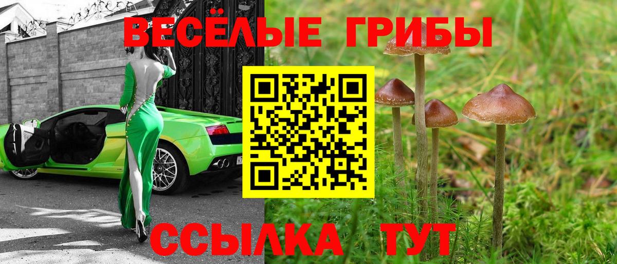 Псилоцибиновые грибы ЛСД  Вход с VPN  купить закладку  Кушва  Псилоцибиновые грибы Psilocybine cubensis 